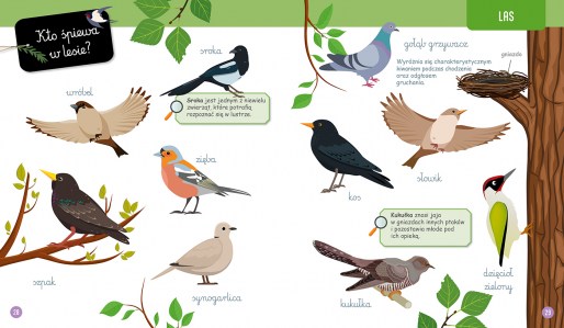 Wielka  ksiega przyrody srodki elibri 1